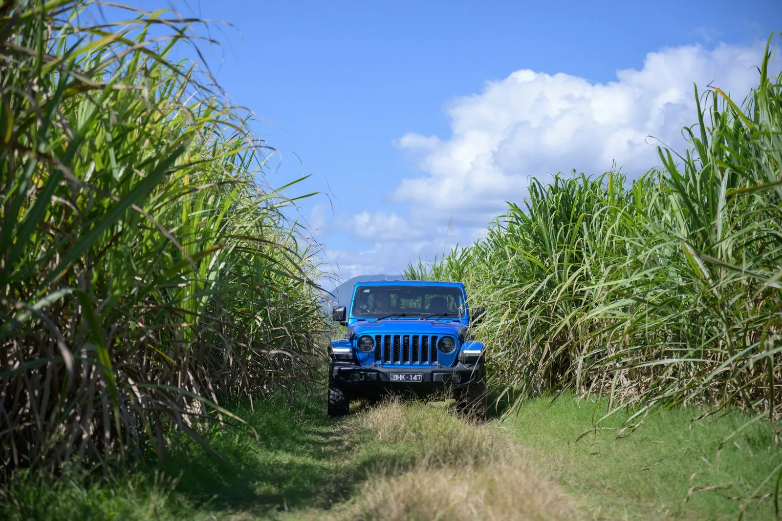 Hayden Quinn driving a Jeep