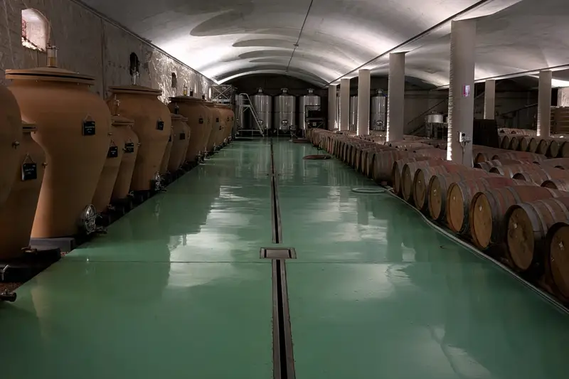 Long cellar of barrels and clay amphorae with a polished green floor