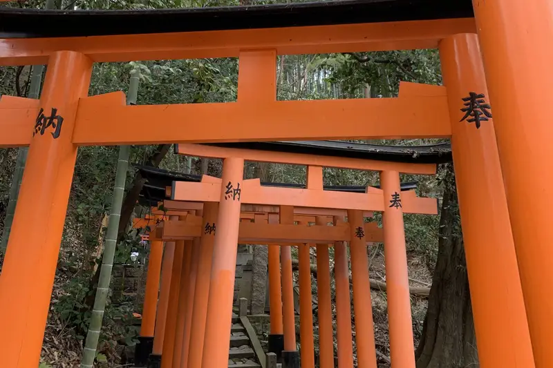 Tunnel of bright orange torii gates along a stone path