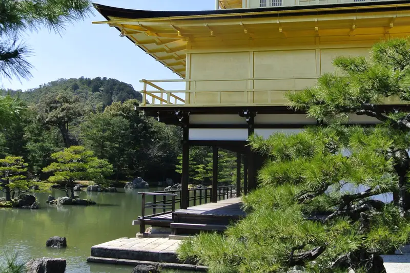 Gold-leaf pavilion above a pond, framed by pine trees