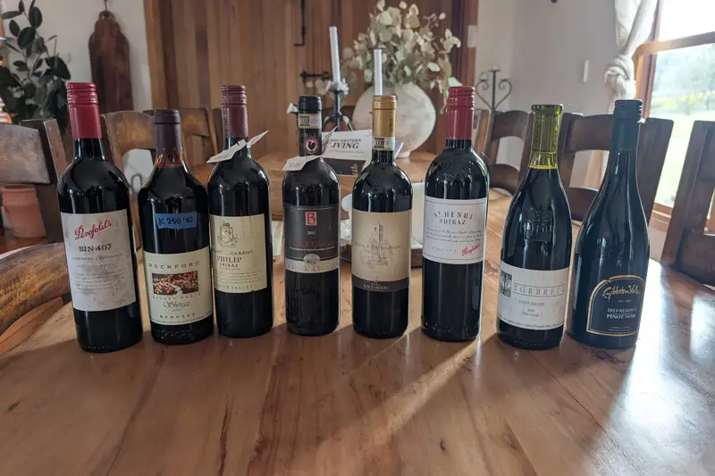 Line-up of red wine bottles on a wooden table