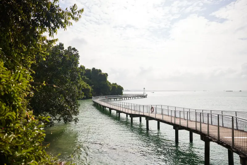 Wooden boardwalk leading out over the water past trees