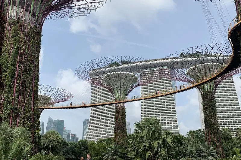 Tall tree-like steel sculptures above a garden walkway
